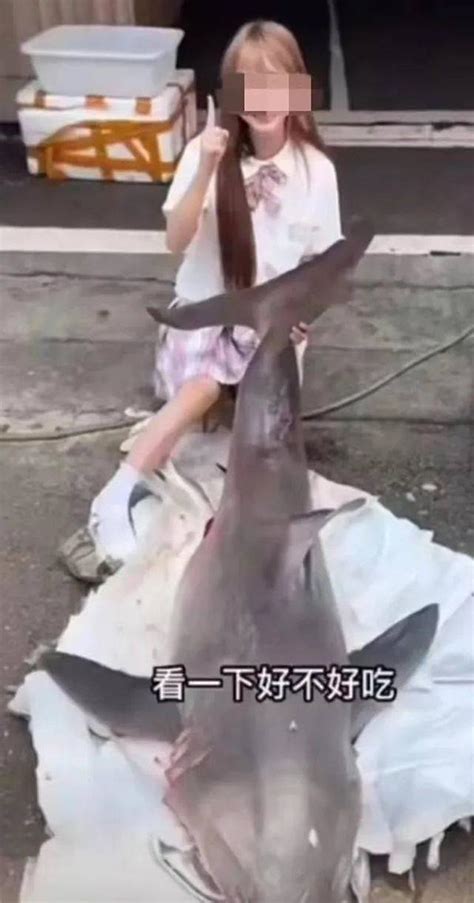 网红博主烹食噬人鲨被罚款