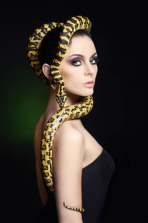 美人与蛇完整版
