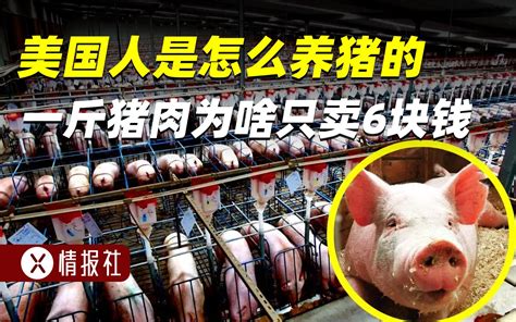 美国猪肉多少钱一斤2019