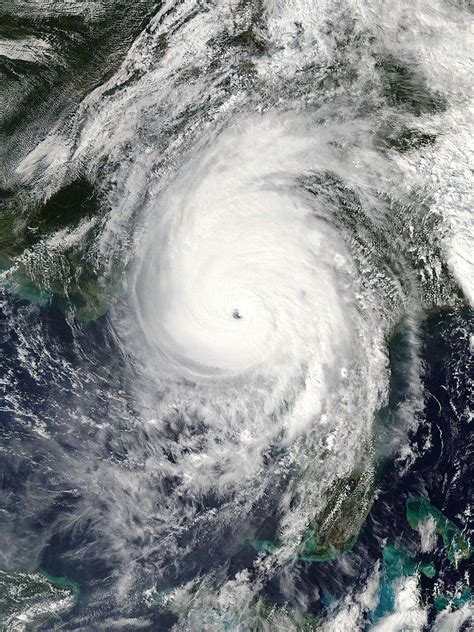美国飓风一般在几月