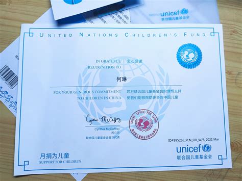 联合国卫生证书怎么弄