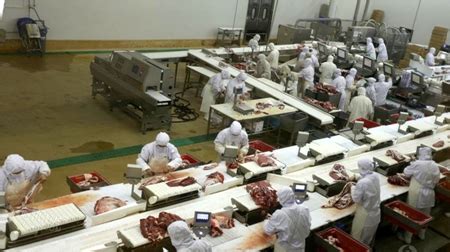 肉联厂分割工招工