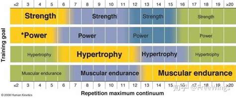 肌肉耐力训练组数与次数