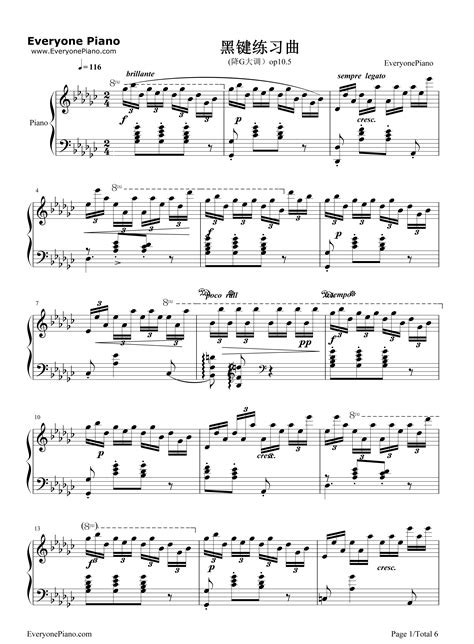肖邦黑键练习曲教学方法