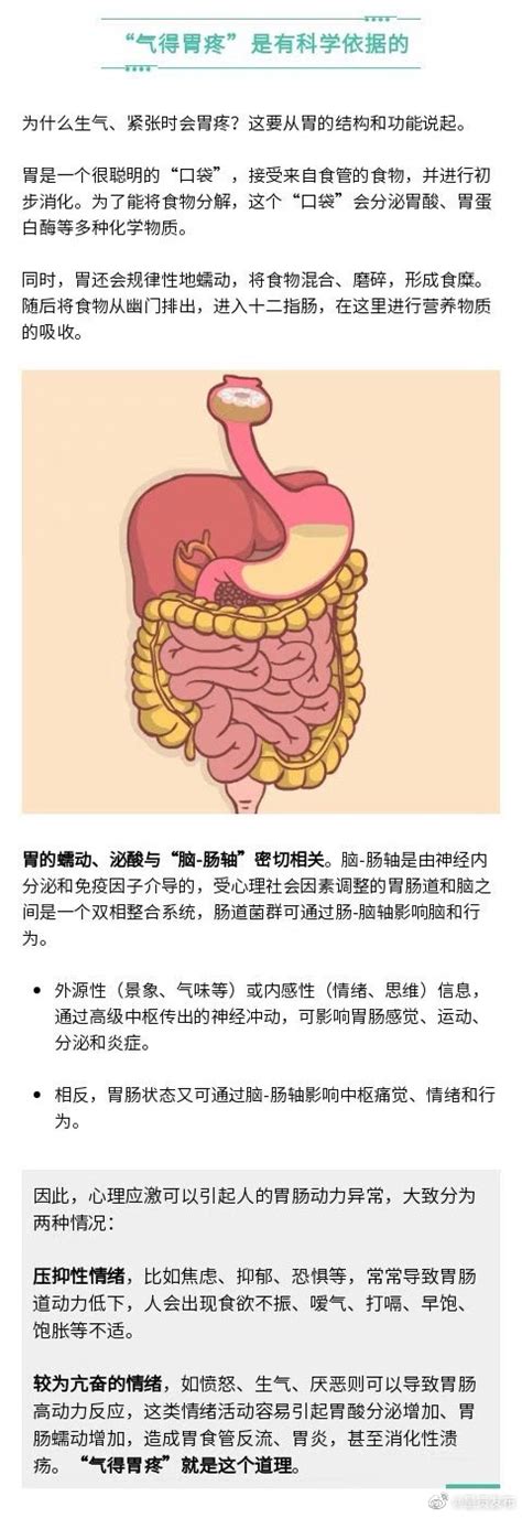 胃也是情绪的感觉器官