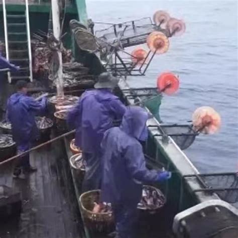 舟山哪里有打鱼交易市场