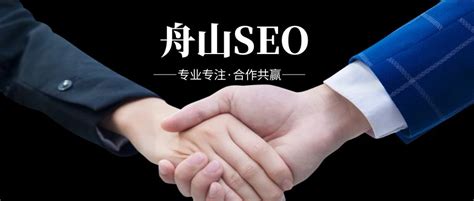 舟山seo网络推广品牌企业有哪些