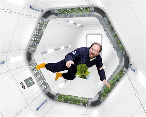 航天员在太空吃到了自己种的蔬菜