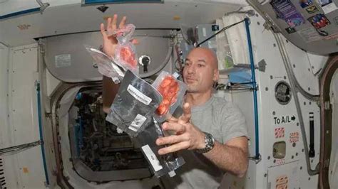 航天员在太空吃的蔬菜
