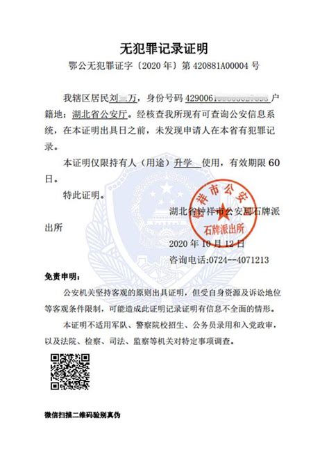 芜湖市签证网上可以办理吗