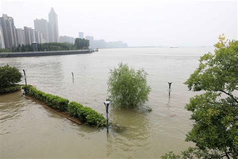 芜湖高水位图片