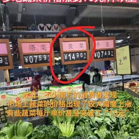 苏州青菜被偷视频