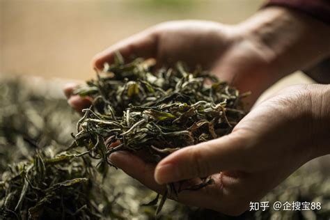 茶叶公司取名大全金字开头
