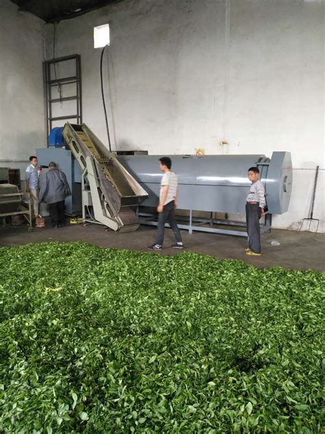 茶叶加工厂起名