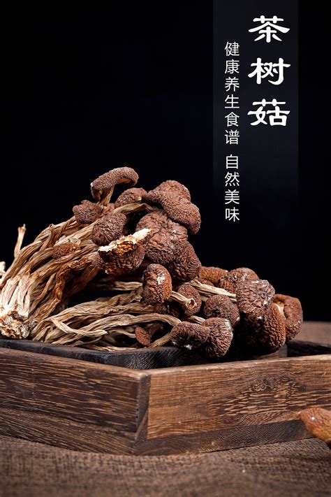 茶树菇产品介绍