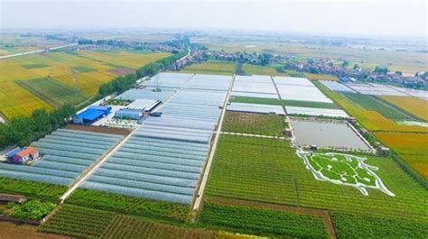荆州农业网站推广多少钱