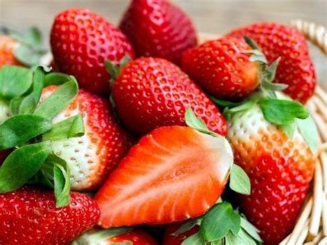 草莓怎么培育才好吃