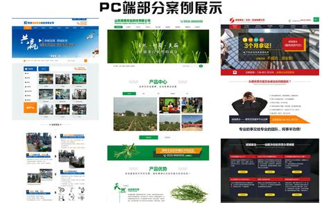 菏泽企业网站建设推广服务
