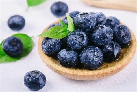 蓝莓功效与作用营养价值