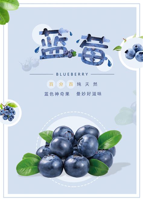 蓝莓推广水果文案