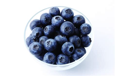 蓝莓是凉性还是热性