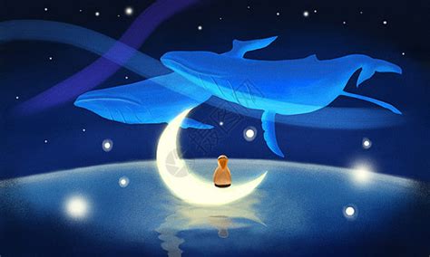 蓝鲸北海鲸梦详细解说