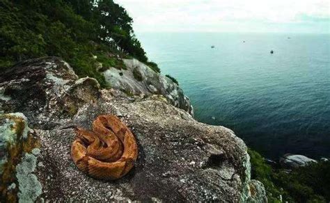 蛇岛恐怖的大蛇
