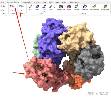 蛋白质结构域分析网站