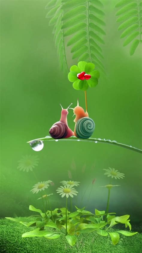 蜗牛的图片可爱壁纸