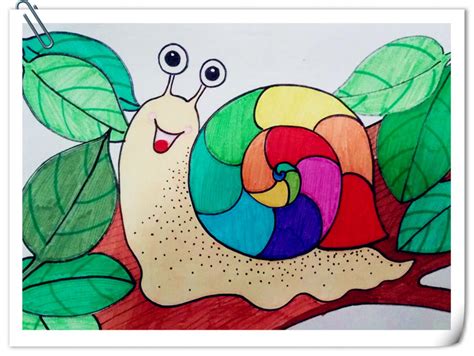 蜗牛的漂亮的画
