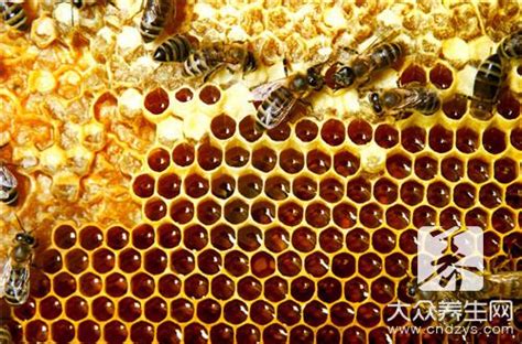 蜜蜂巢的药用价值