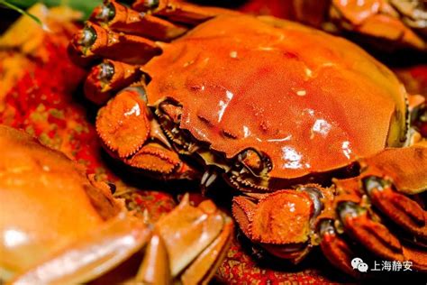 螃蟹煮熟后多久不能吃