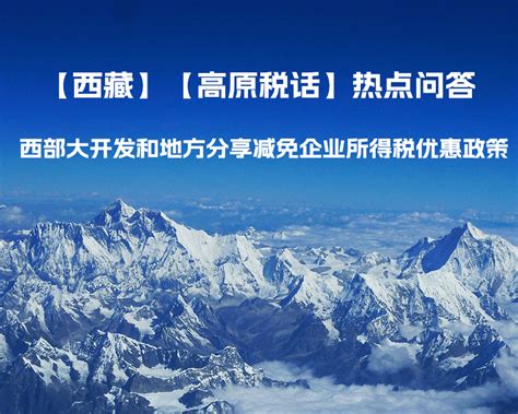 西藏企业网站开发定做价格