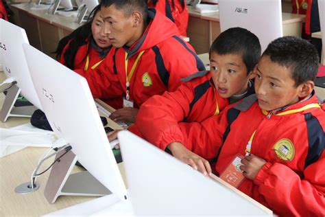 西藏教育机构网络推广