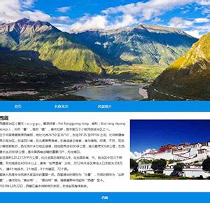 西藏网站设计平台