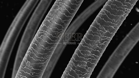 读数显微镜测头发丝直径数据
