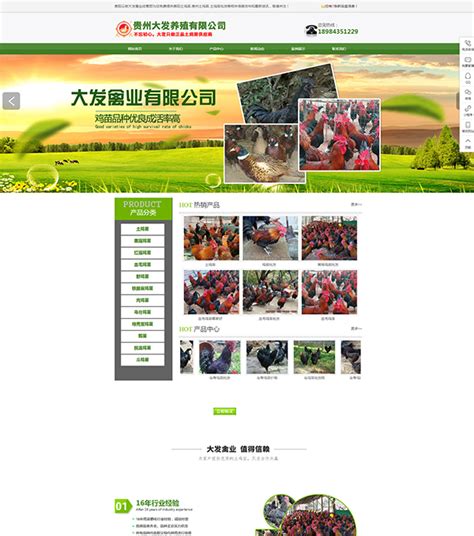 贵州个人网站推广平台