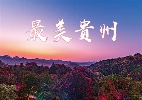 贵州短视频seo项目