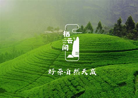 贵州茶叶品牌宣传