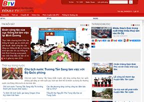 越南网站特征