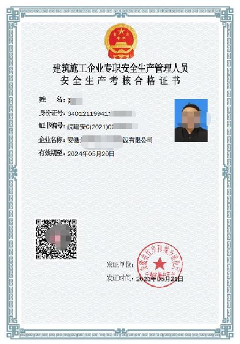 辽宁省b证电子证书在哪下载