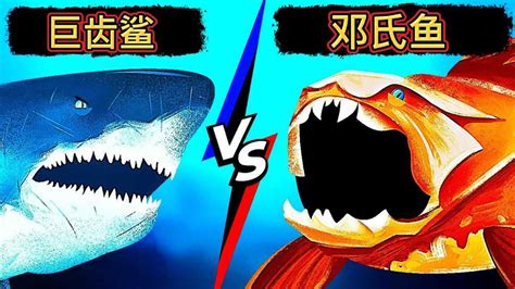 邓氏鱼vs巨齿鲨vs沧龙