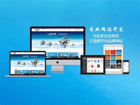 邛崃网站设计开发收费