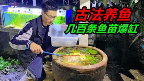 邯郸晚上哪里有卖养鱼的水泵