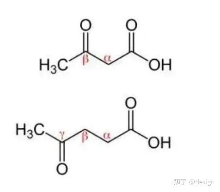酮酸和酮戊二酸区别