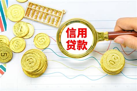 重庆企业信贷使用软件