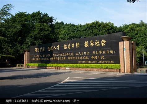 重庆大学树墙