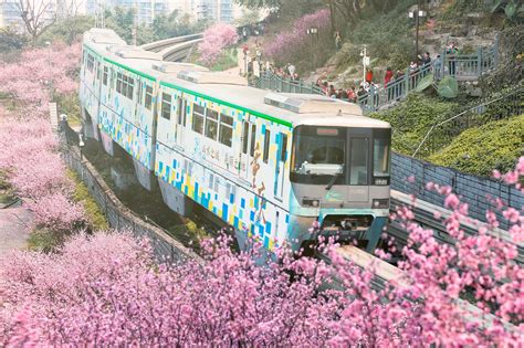 重庆开往春天的列车图片