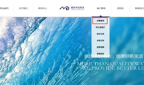 重庆水费查询系统官方网站