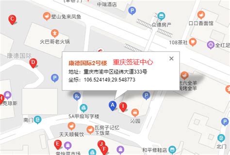 重庆签证中心官网需要写的信息